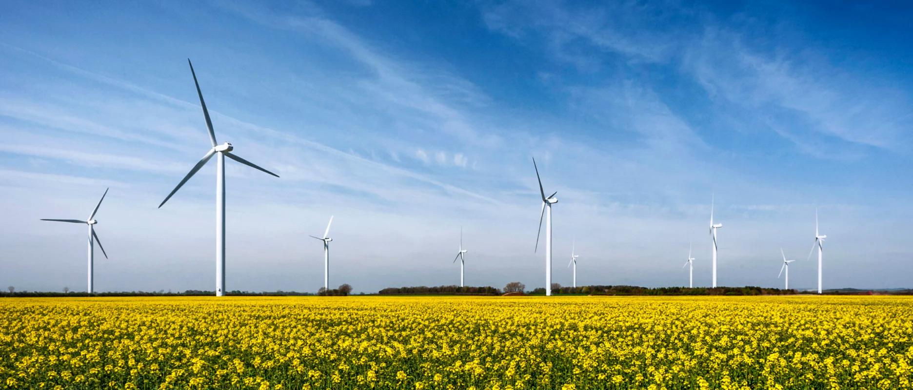 Renewable Energy