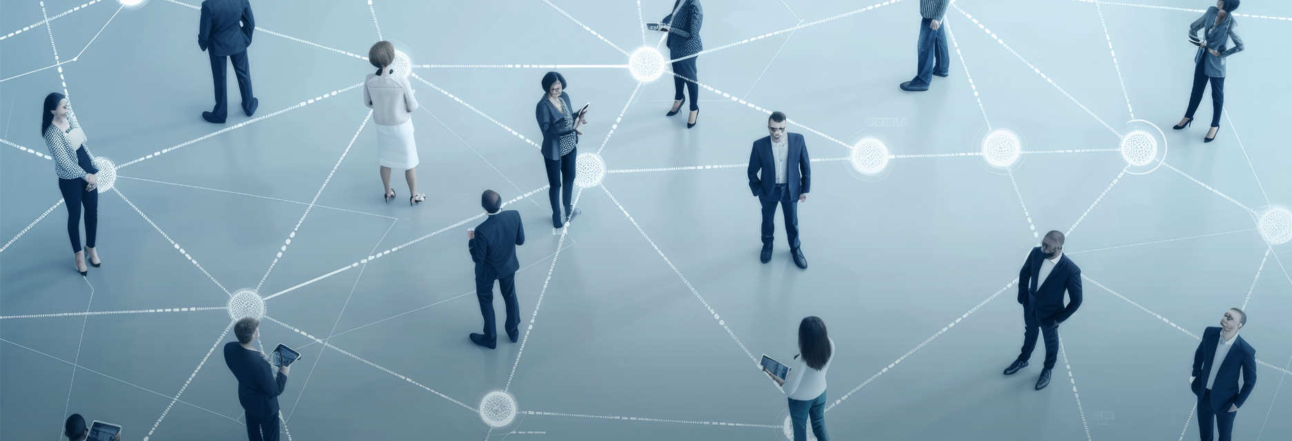 Corporate Organization