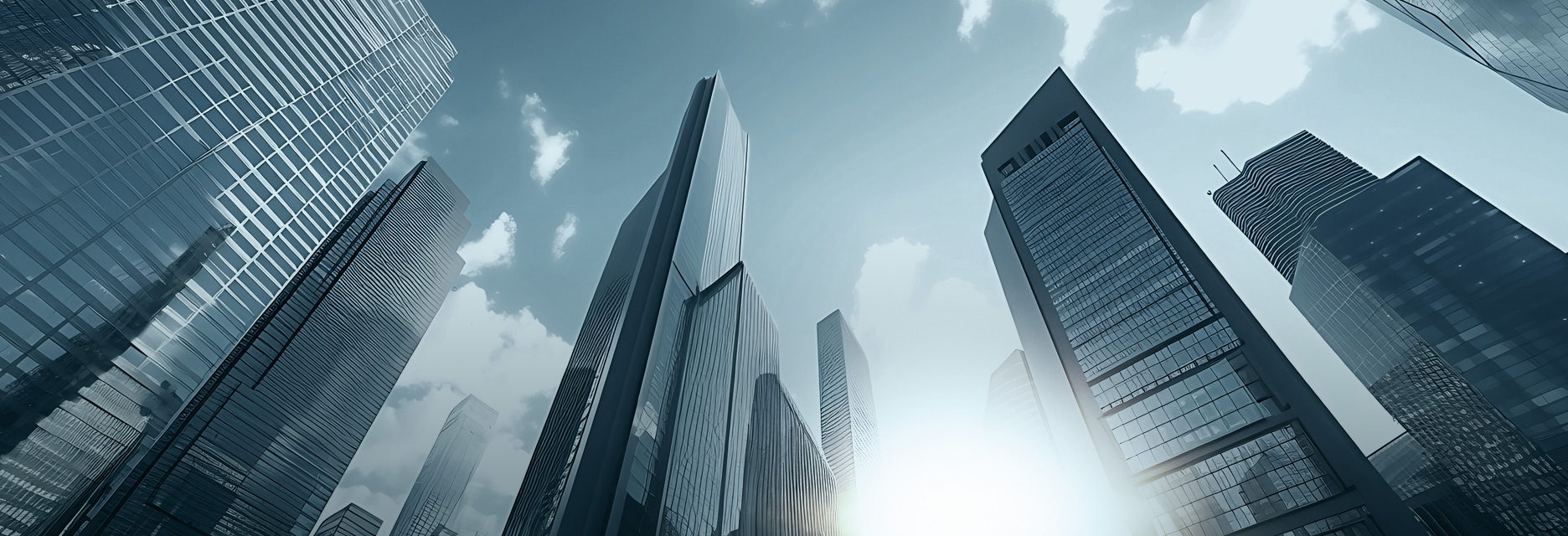 Corporate Profile
