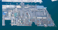 Eba Plant